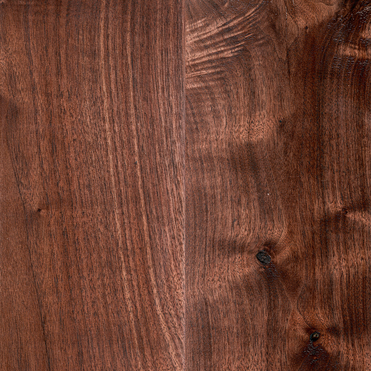 American Black Walnut